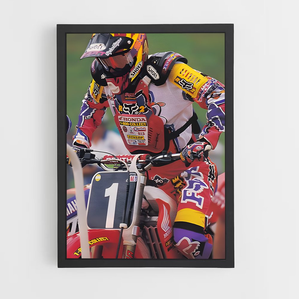 Poster Ride ou Mourir (vue 2)